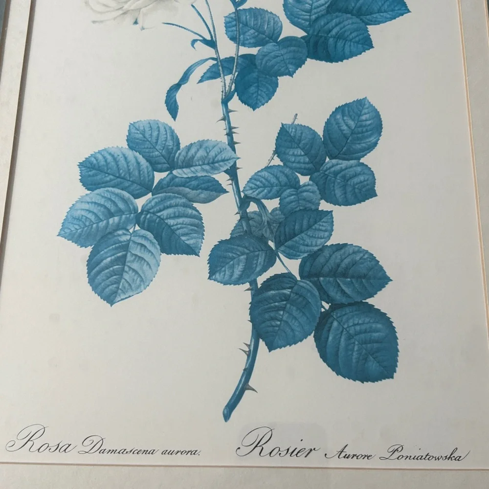 MCM Blue Botanical Rose Prints Gold Frame Grandmillennial Cottage Wall Art Set